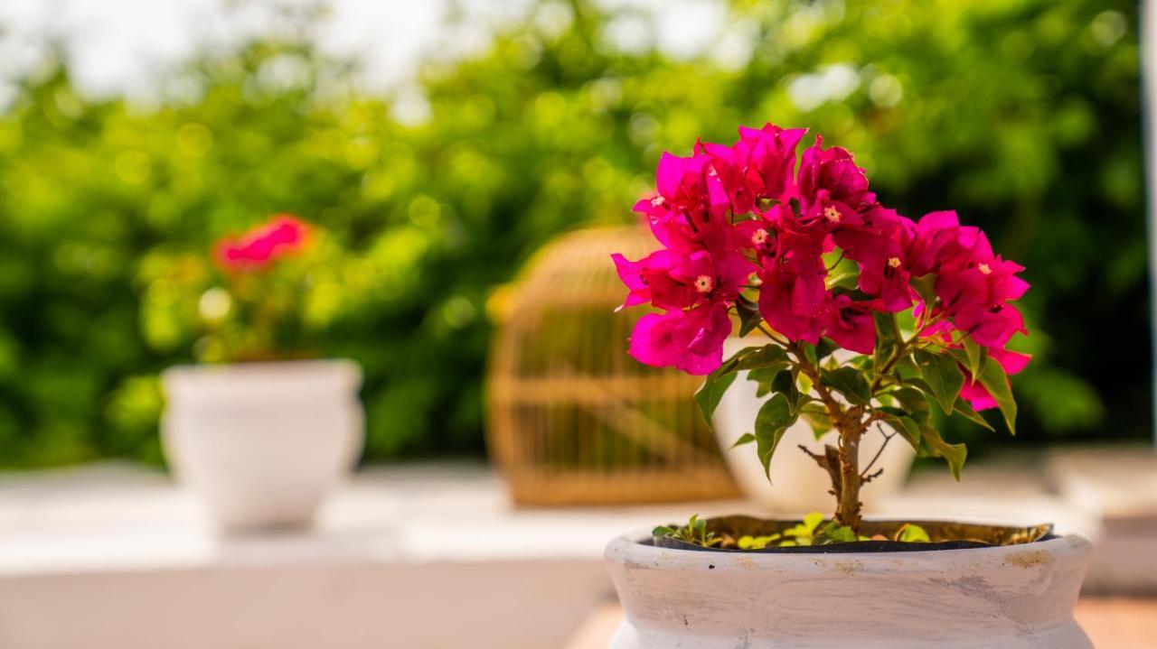Club Beyy Resort Hotel إزمير المظهر الخارجي الصورة